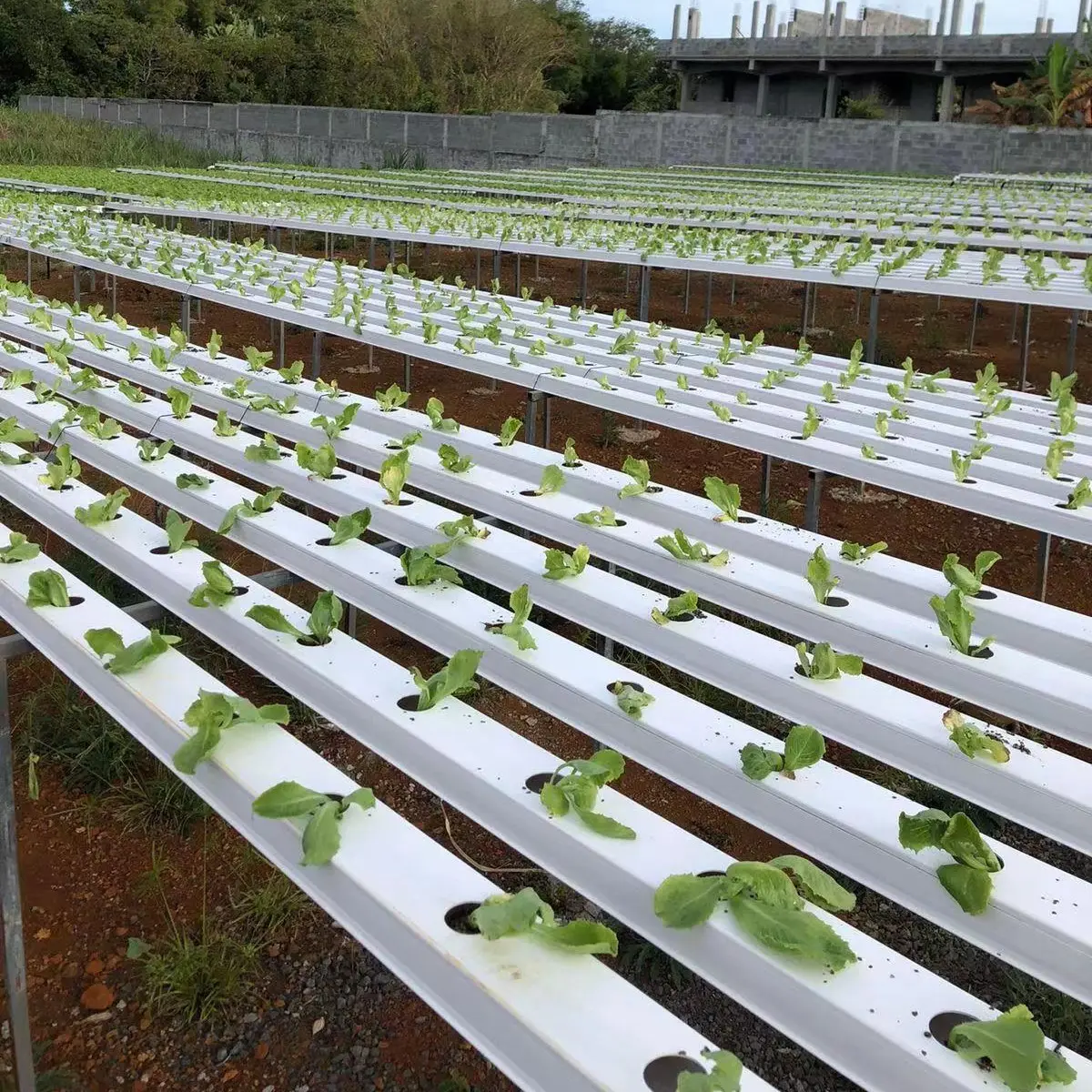 hidroponic system farm system hydroponic nft channel hydroponics growing