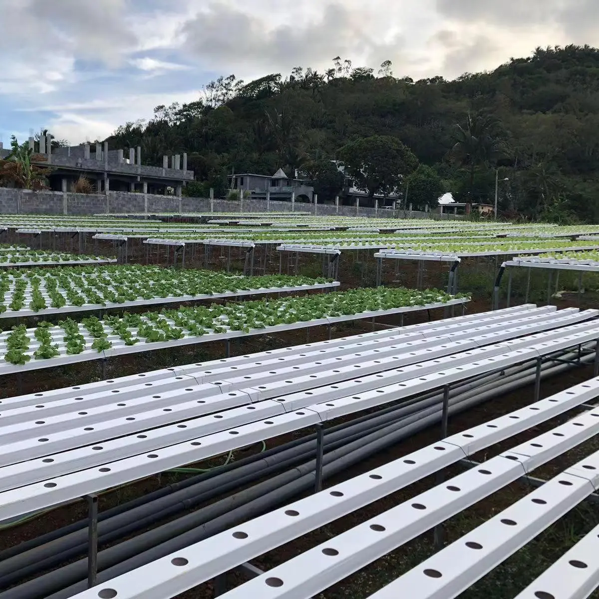 hidroponic system farm system hydroponic nft channel hydroponics growing