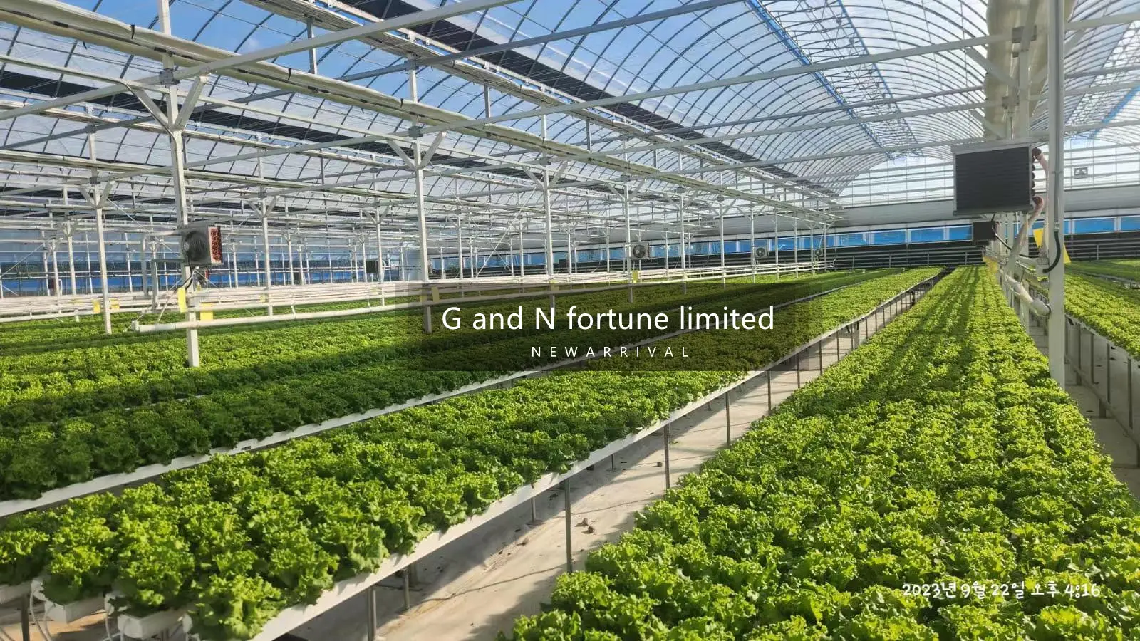 Agricultural greenhouses Net pot used for indoor garden hydroponic growing system aeroponie system
