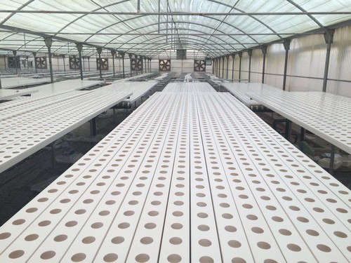 Plant Watering Bucket: Exceptional Quality, Factory - Wholesale with Great Design