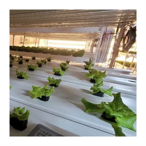Unique Design NFT channel Professional For Commercial Farming Future Farming Hydroponics Equipment