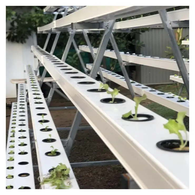 Unique Design NFT channel Professional For Commercial Farming Future Farming Hydroponics Equipment