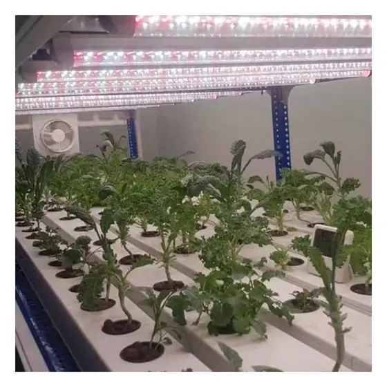 Nft Hydroponic Growing Systems Home agricultural greenhouses Vertical Garden Tower With Led Light