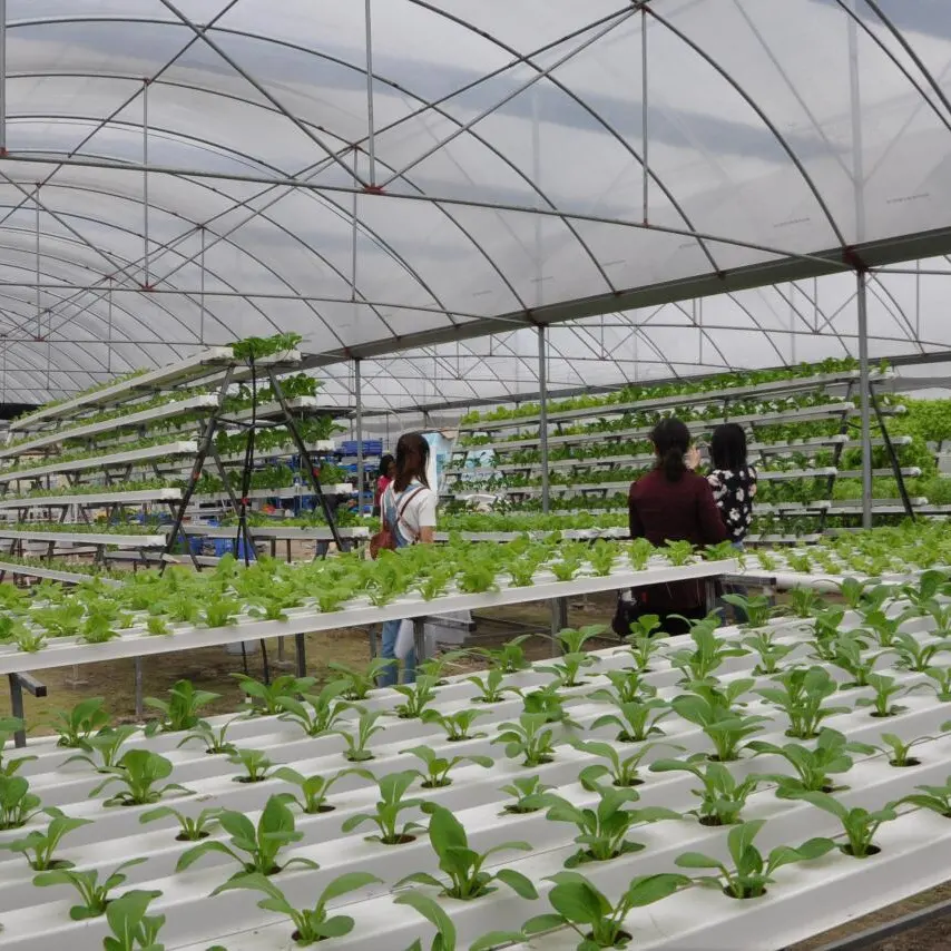 Best Sale Indoor Smart grow system Vertical Aquaponics Hydroponic System In Superfarm