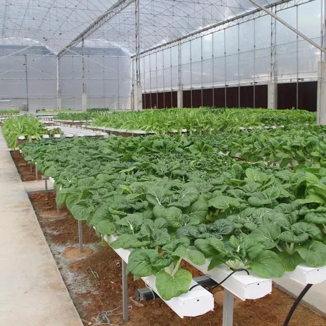 Square PVC Hydroponics Pipe hydroponic grow system Manufacturer for Greenhouse and Farming