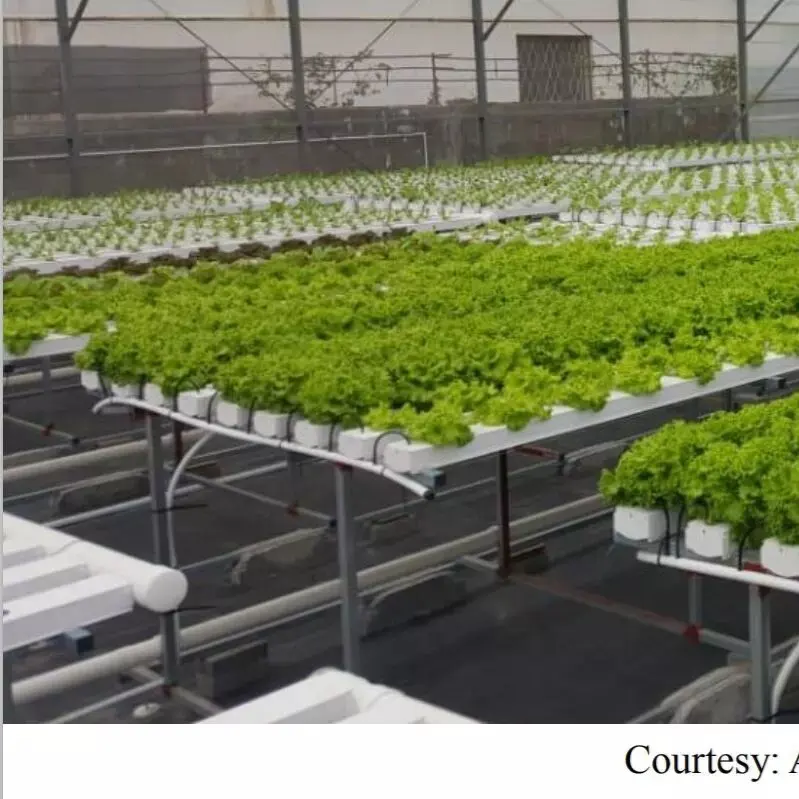 2022 Hydroponics Horizontal Grow System Growing Kit 6/8/10 Layers Plants Site NFT Growing system