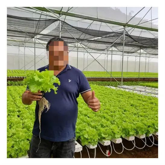 Channel Hydroponic Nft Growing Systems Hot Sale Pvc Pump Manufacturer Hot Product 2024 White