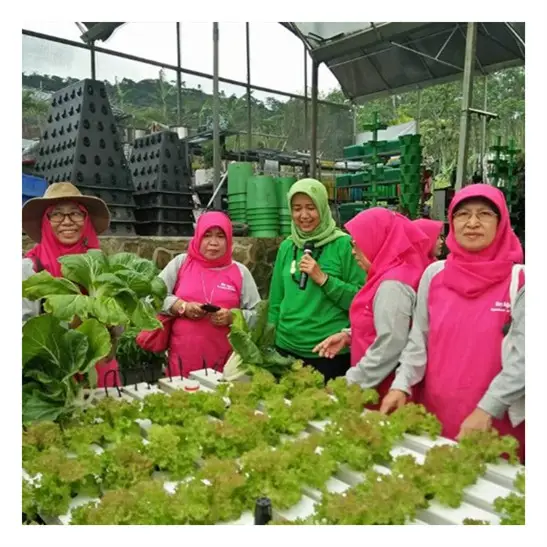 On Sale NFT hydroponic fodder channel greenhouse hydroponics system