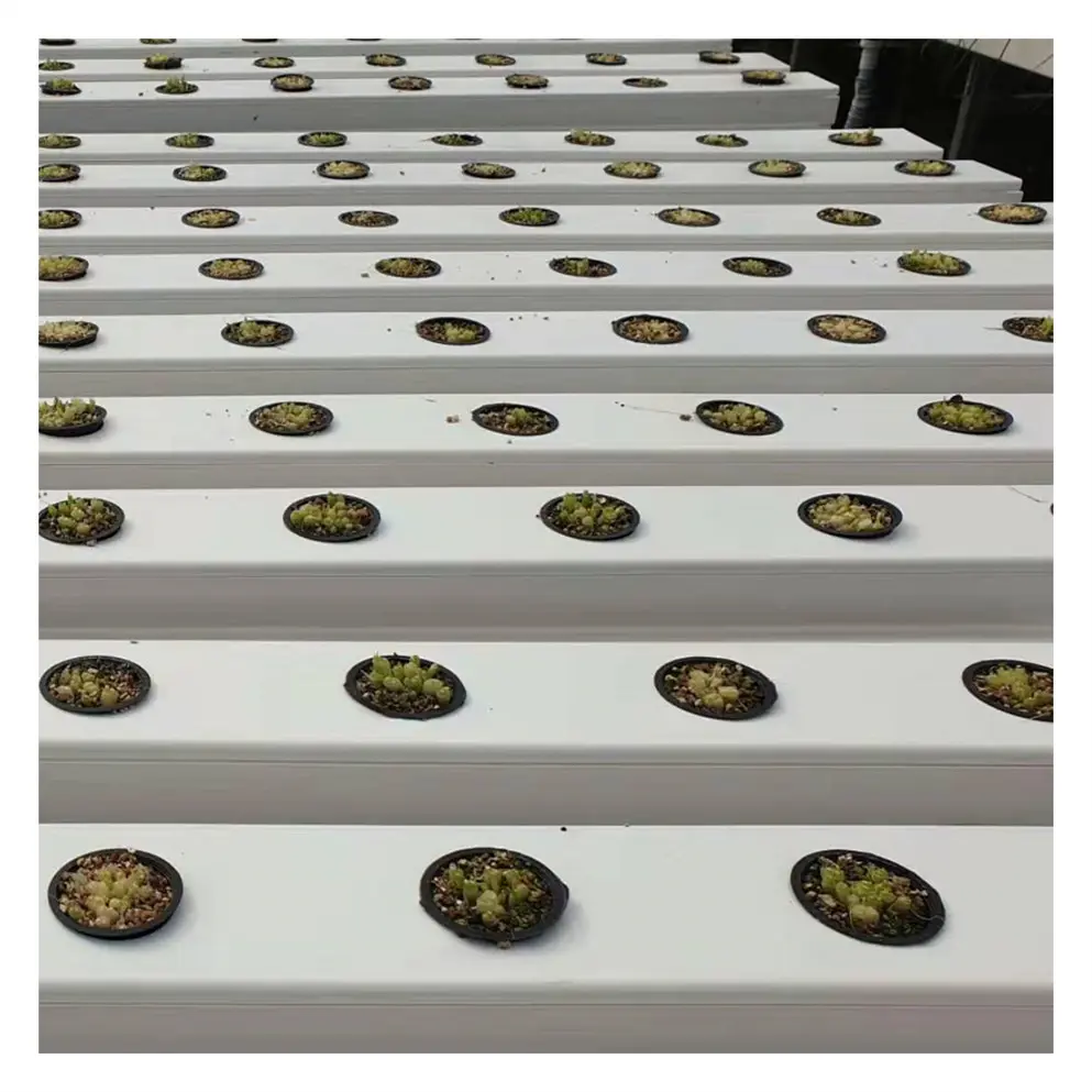 On Sale NFT hydroponic fodder channel greenhouse hydroponics system