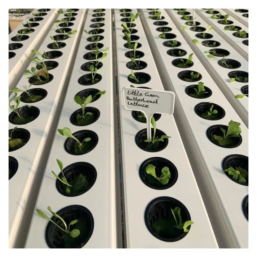 On Sale NFT hydroponic fodder channel greenhouse hydroponics system