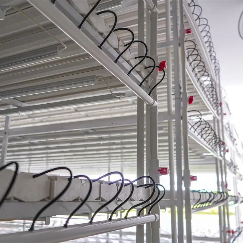 Smart Farm Container Greenhouse agricultural greenhouses with Nft Hydroponic Growing System