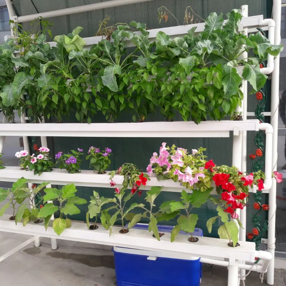 Greenhouse Agriculture grow system Hydroponics NFT System Vertical Farming For Vegetable Growing