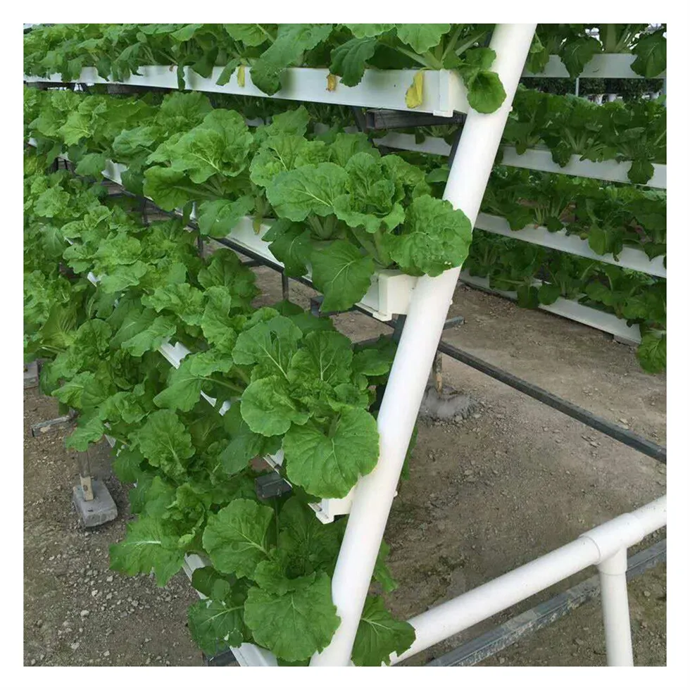 Greenhouse Agriculture grow system Hydroponics NFT System Vertical Farming For Vegetable Growing