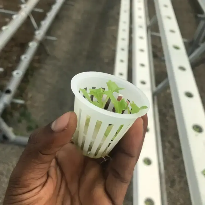 A Frame Hydroponic Growing Systems Quality NFT Channel Square Pipe Indoor agricultural greenhouses