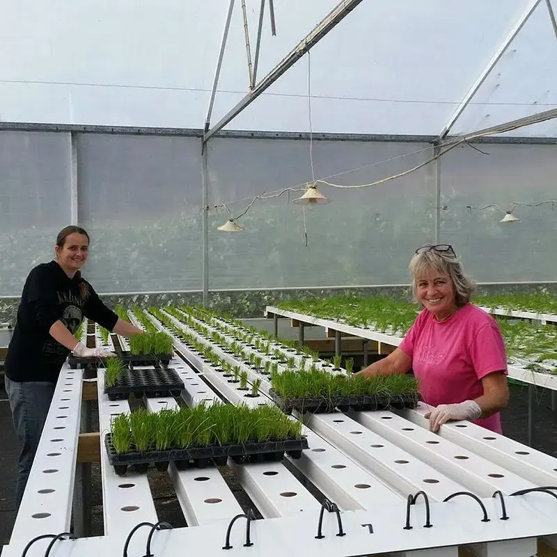 NFT Hydroponics Table Growing Flat Bed Hydroponic Growing Systems Nft greenhouse