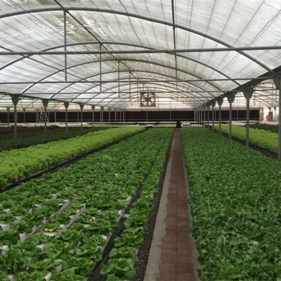 NFT Hydroponics Table Growing Flat Bed Hydroponic Growing Systems Nft greenhouse