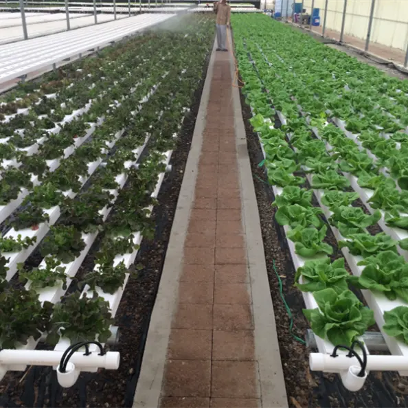 NFT Hydroponics Table Growing Flat Bed Hydroponic Growing Systems Nft greenhouse