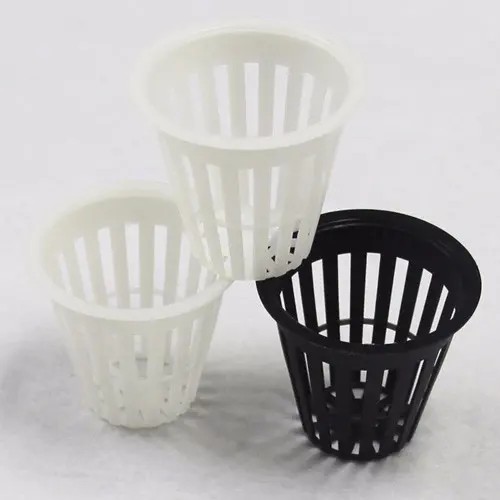 plant pot