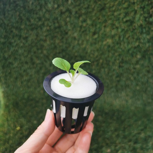 indoor plant pots