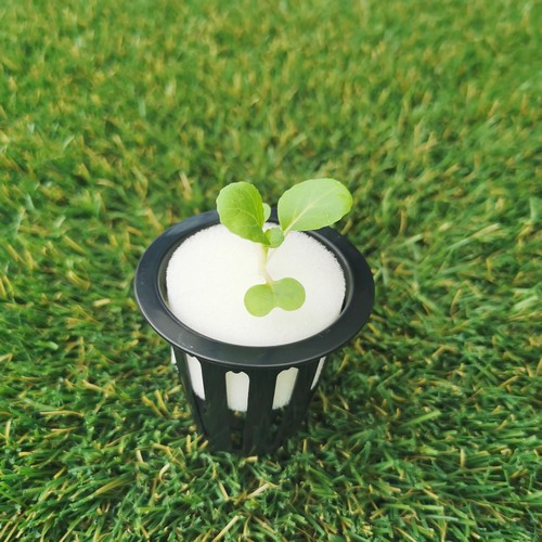 Net pots for plants with Premium Quality and Wholesale Prices