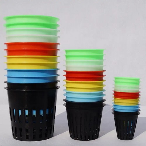plants pots