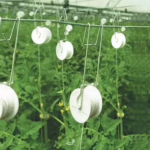 Ergonomic Hydroponics: Conveniently Use Tomato Trellis Clips