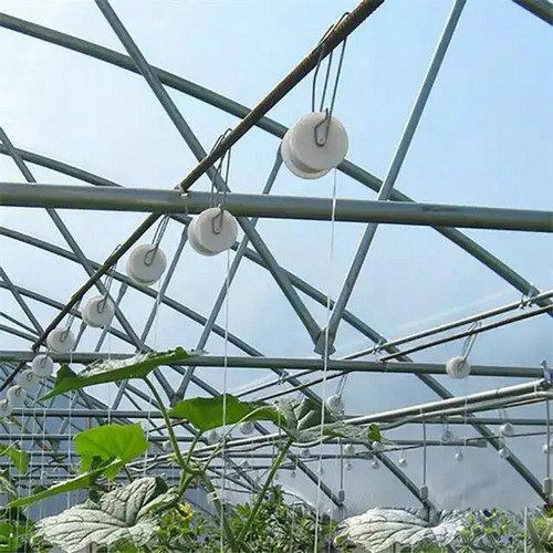 tomato plant hooks