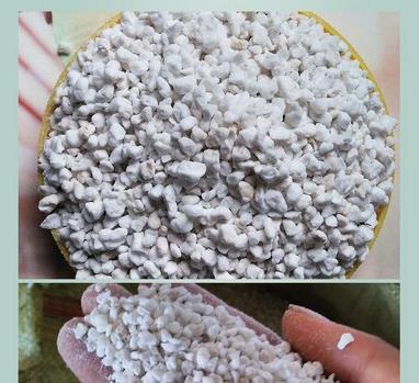 perlite vs pumice