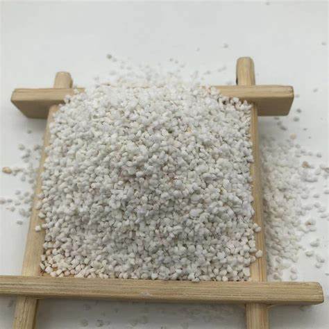 perlite for succulents