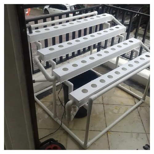 hydroponic system