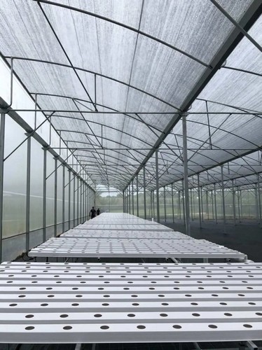 drip hydroponic system