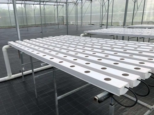 nft hydroponic system