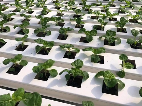 gardyn hydroponic system