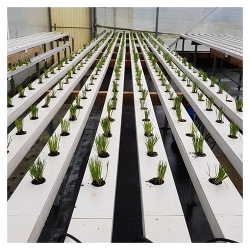 best hydroponic system for cannabis