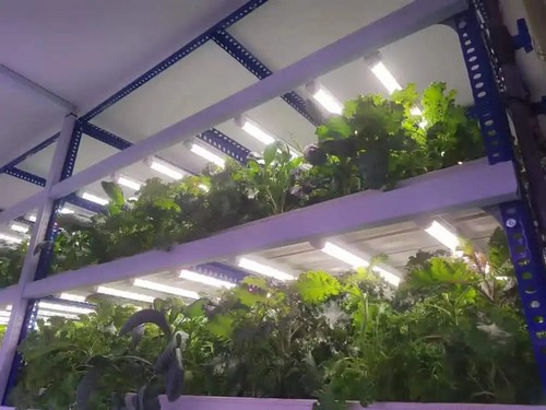 vertical hydroponic systems