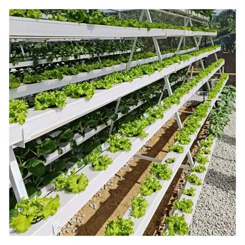 best hydroponic system for beginners