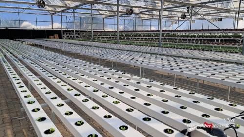 hydroponic irrigation system