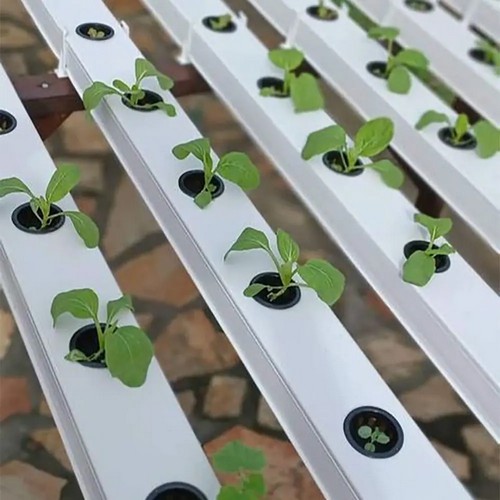 Revolutionize Your Grow: Auto Hydroponic Systems at Wholesale Rates, Boasting Superior Build, Limitless Supply, and Innovative Design