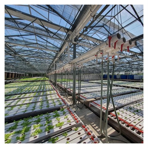 best hydroponic system for vegetables