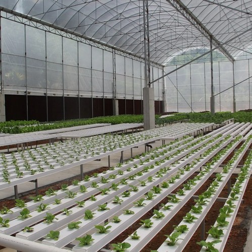 hydroponic system outdoor