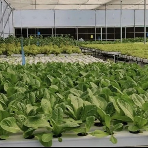 ready made hydroponic systems