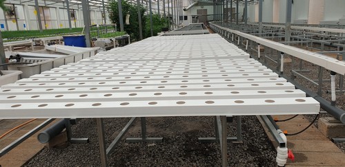 fully automated hydroponic system