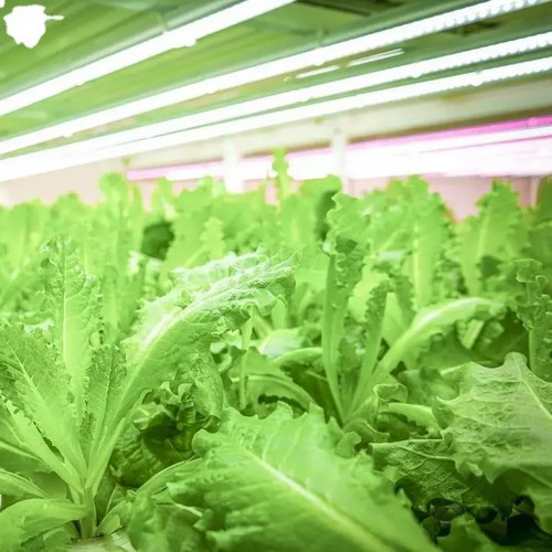 hydroponic systems kits