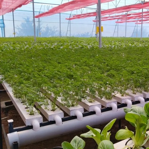 nutraponics hydroponics system