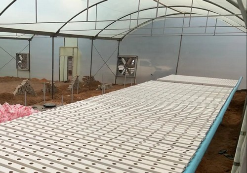 outdoor hydroponic growing systems