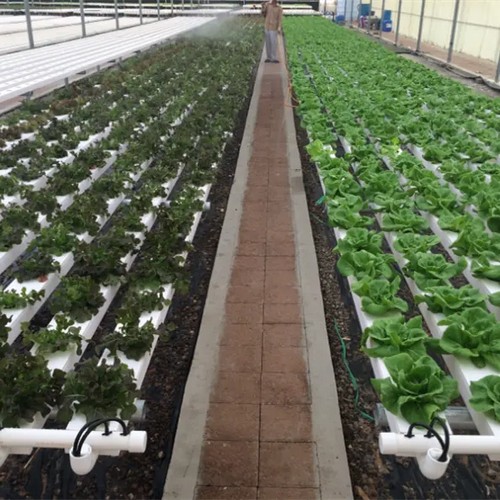 greenhouse kit
