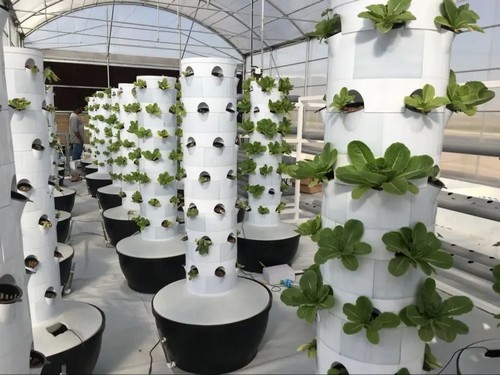 hydroponic tower