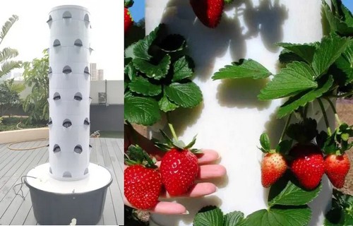 hydroponic tower vertical garden