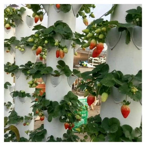 Skyrocket Your Harvests: Hydroponics Vertical Setups by G&N with Massive Potential