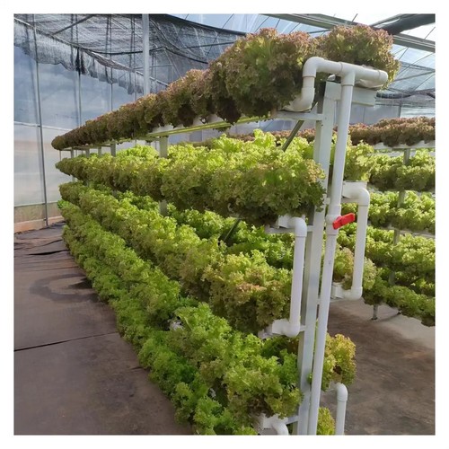 grow light system